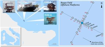 Application of a Weight of Evidence Approach for Monitoring Complex Environmental Scenarios: the Case-Study of Off-Shore Platforms